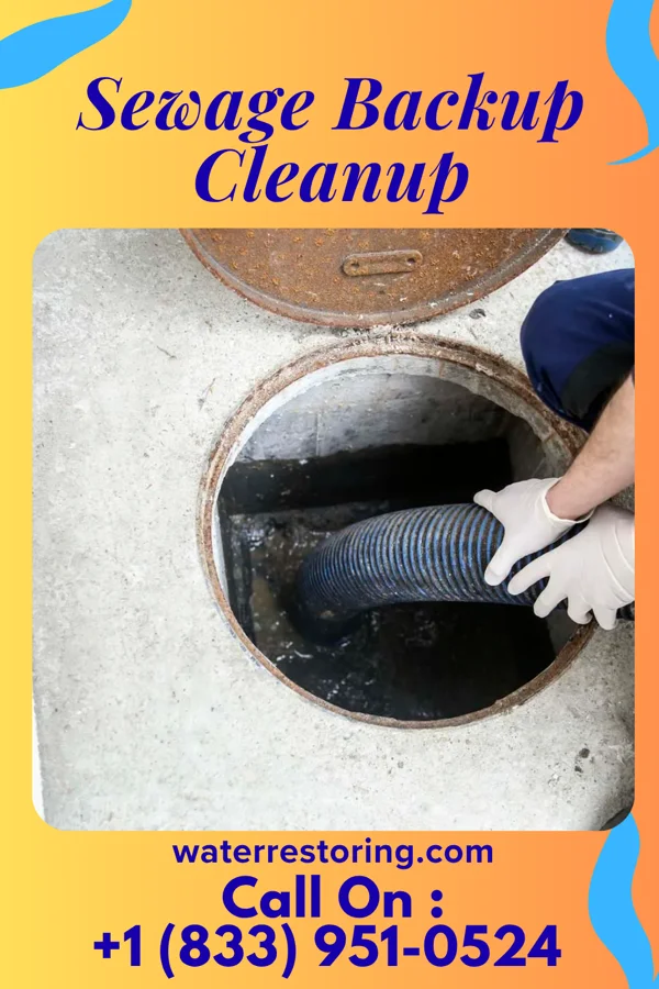 Sewage Backup Cleanup in Powdersville, SC