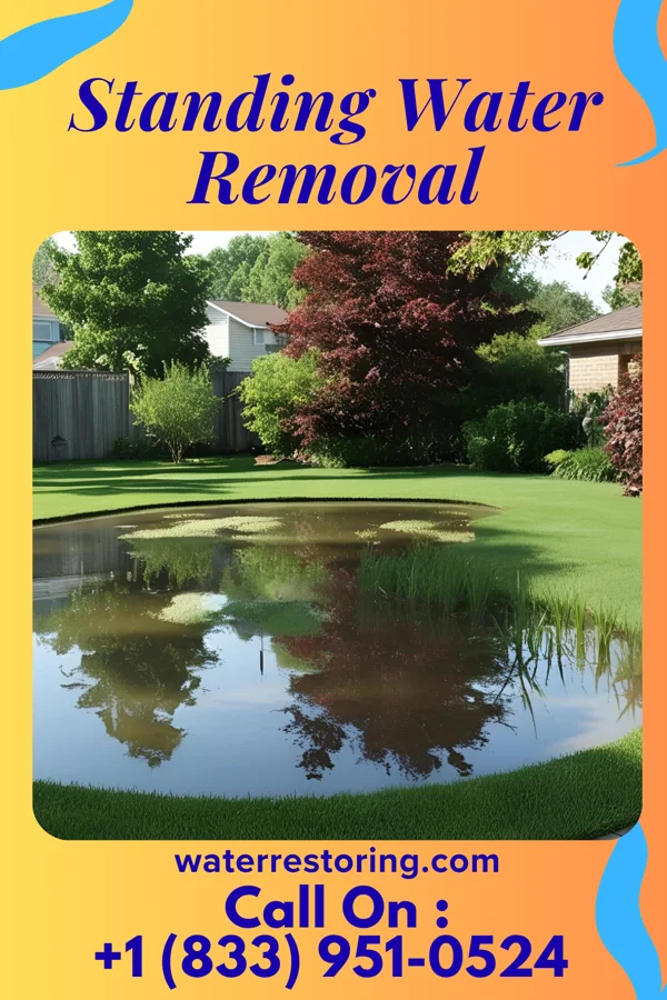 Standing Water Removal in Powdersville, SC